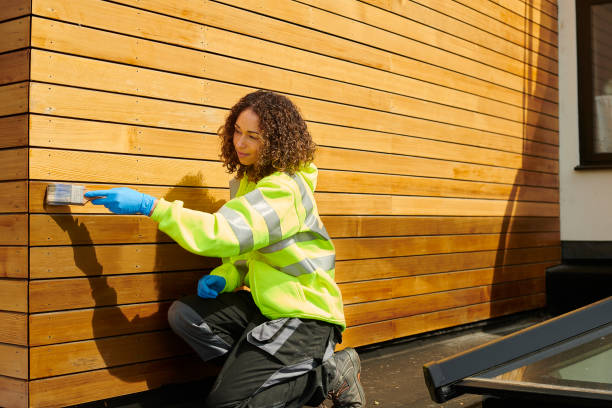 Best Brick Veneer Siding  in Maan, ND